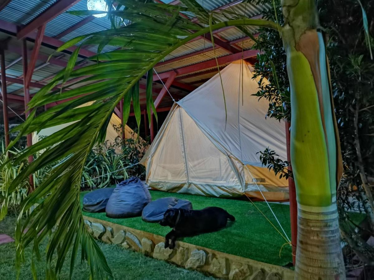 Glamping Alona Apartment Đảo Đảo Panglao Ngoại thất bức ảnh